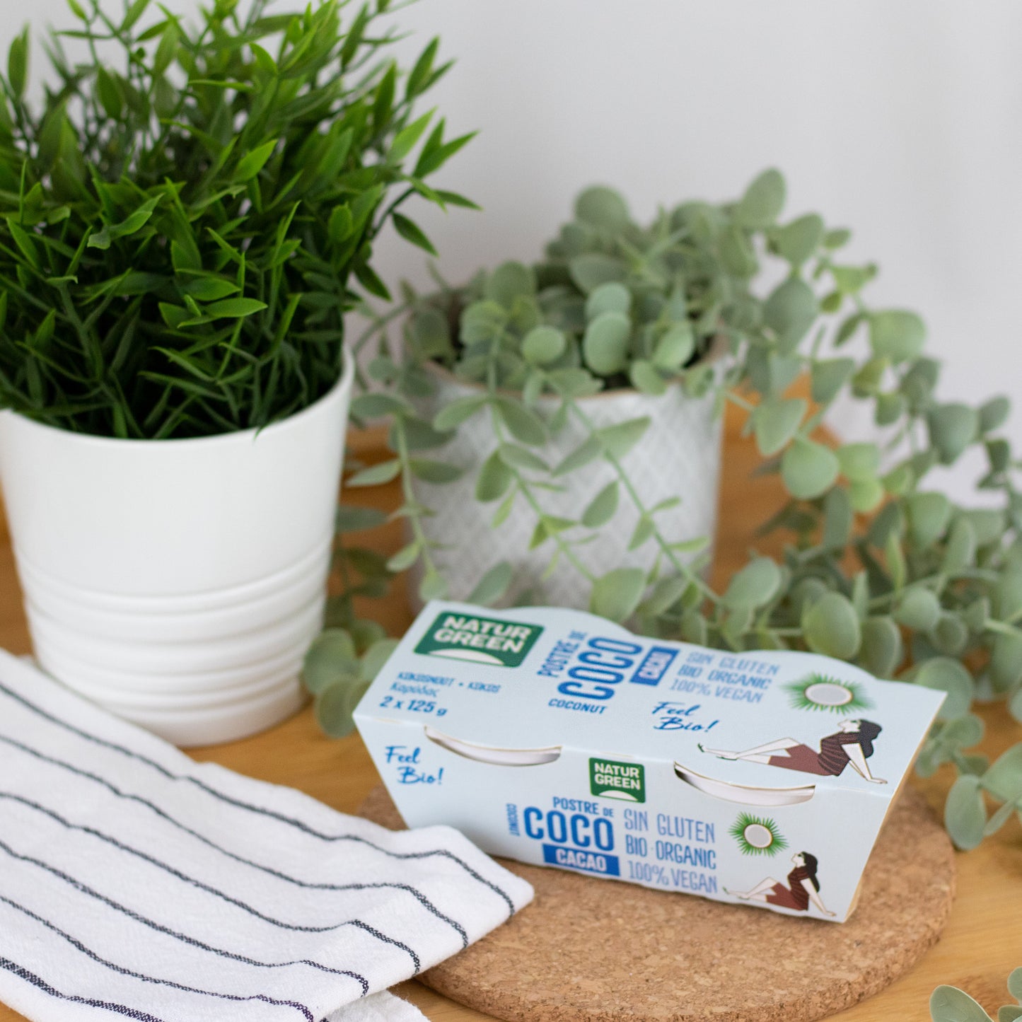 Pack 6x Postre de Coco y Cacao Bio (2x125 g) NaturGreen