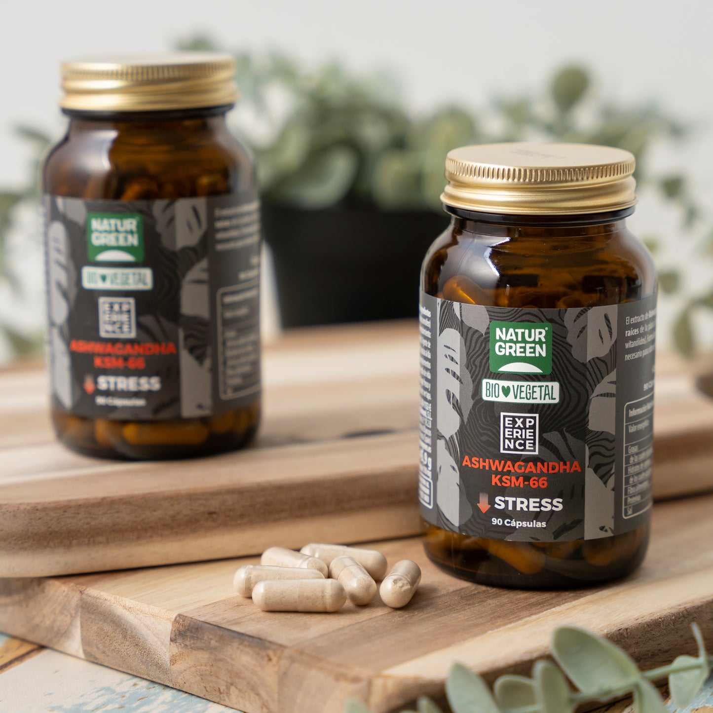 Pack 6x Ashwagandha KSM-66 Bio 90 cápsulas Naturgreen Experience