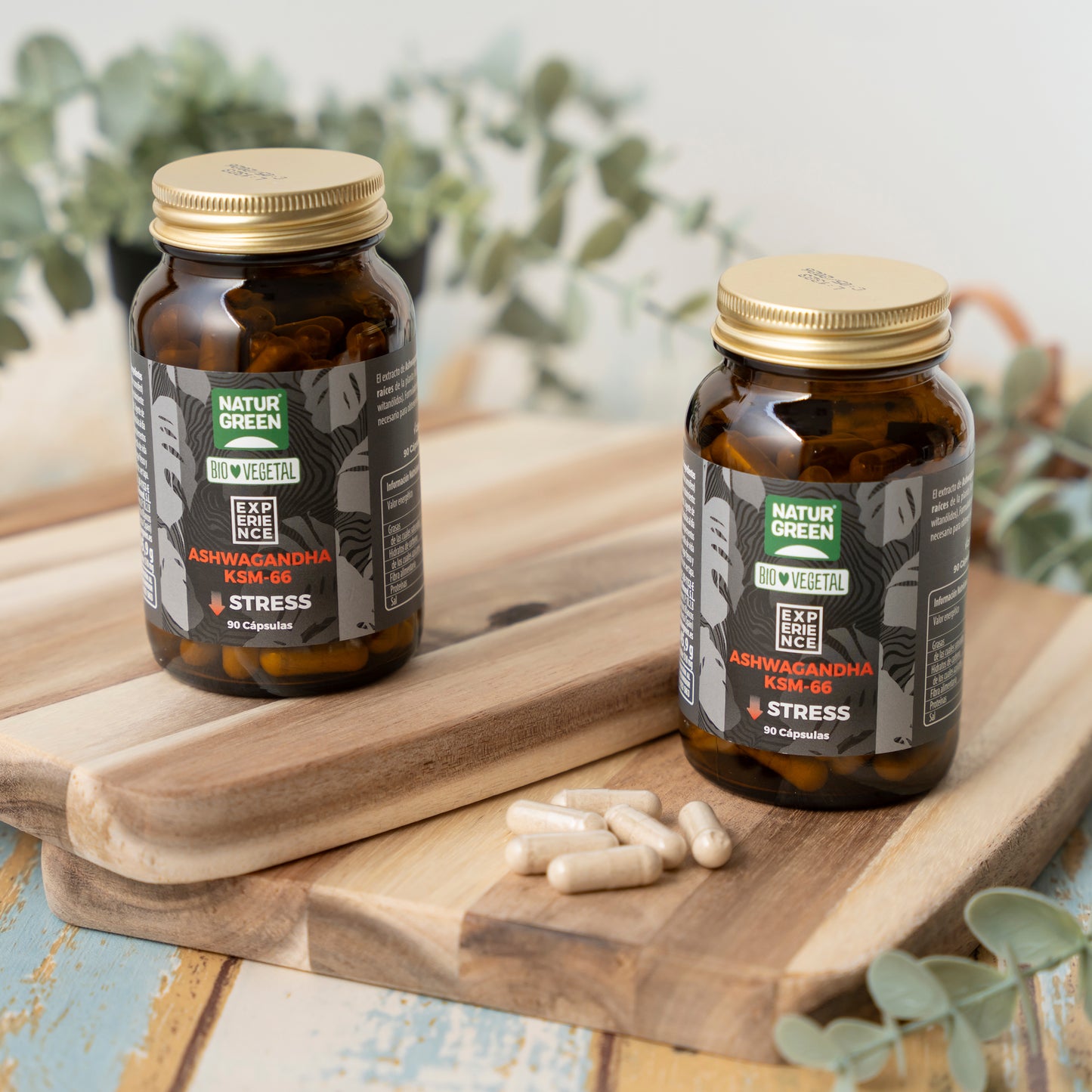 Ashwagandha KSM-66 Bio 90 cápsulas Naturgreen Experience